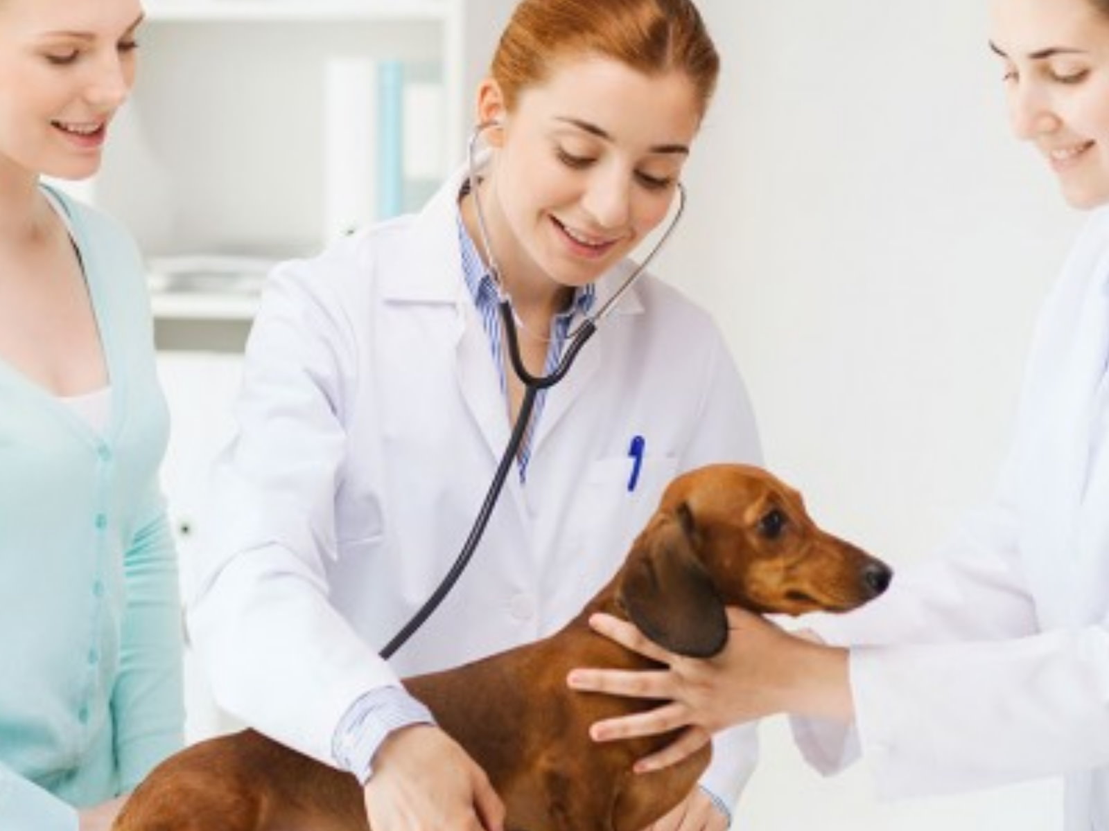 DEPARTEMENT DE VETERINAIRE